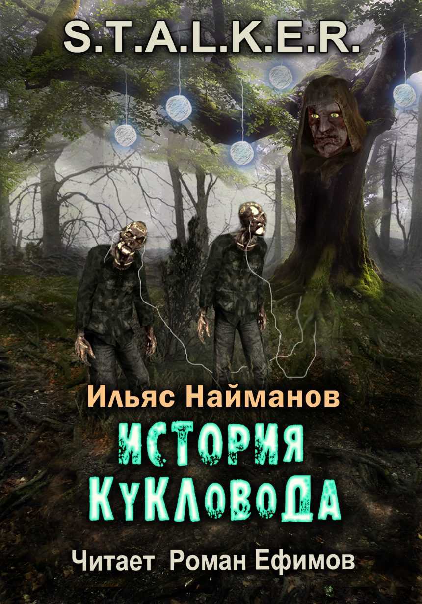 Слушать аудиокнигу S.T.A.L.K.E.R. История Кукловода онлайн бесплатно - автор S.T.A.L.K.E.R. Страж Монолита