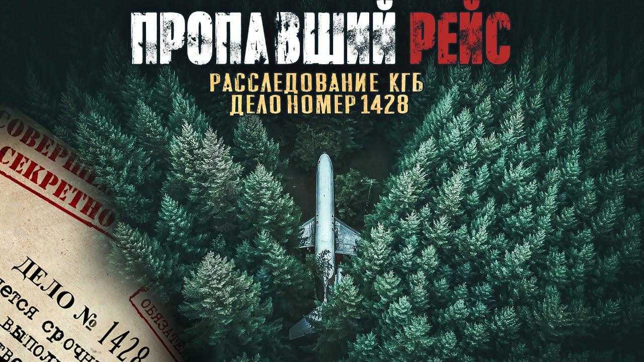 Слушать аудиокнигу Пропавший самолет онлайн бесплатно - автор Георгий Немов